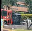 Cenadora Visita Guadalajara